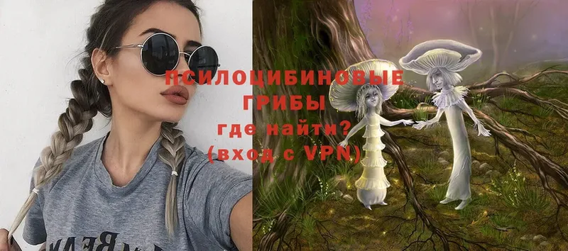 Галлюциногенные грибы Psilocybine cubensis  blacksprut ССЫЛКА  Вязники 